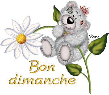 Bon dimanche à tous mes ami(e)s !!